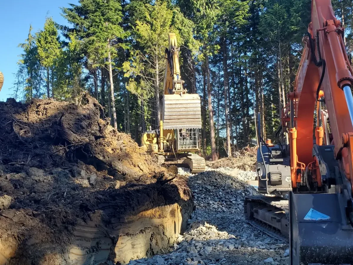 20210811_090915_resized