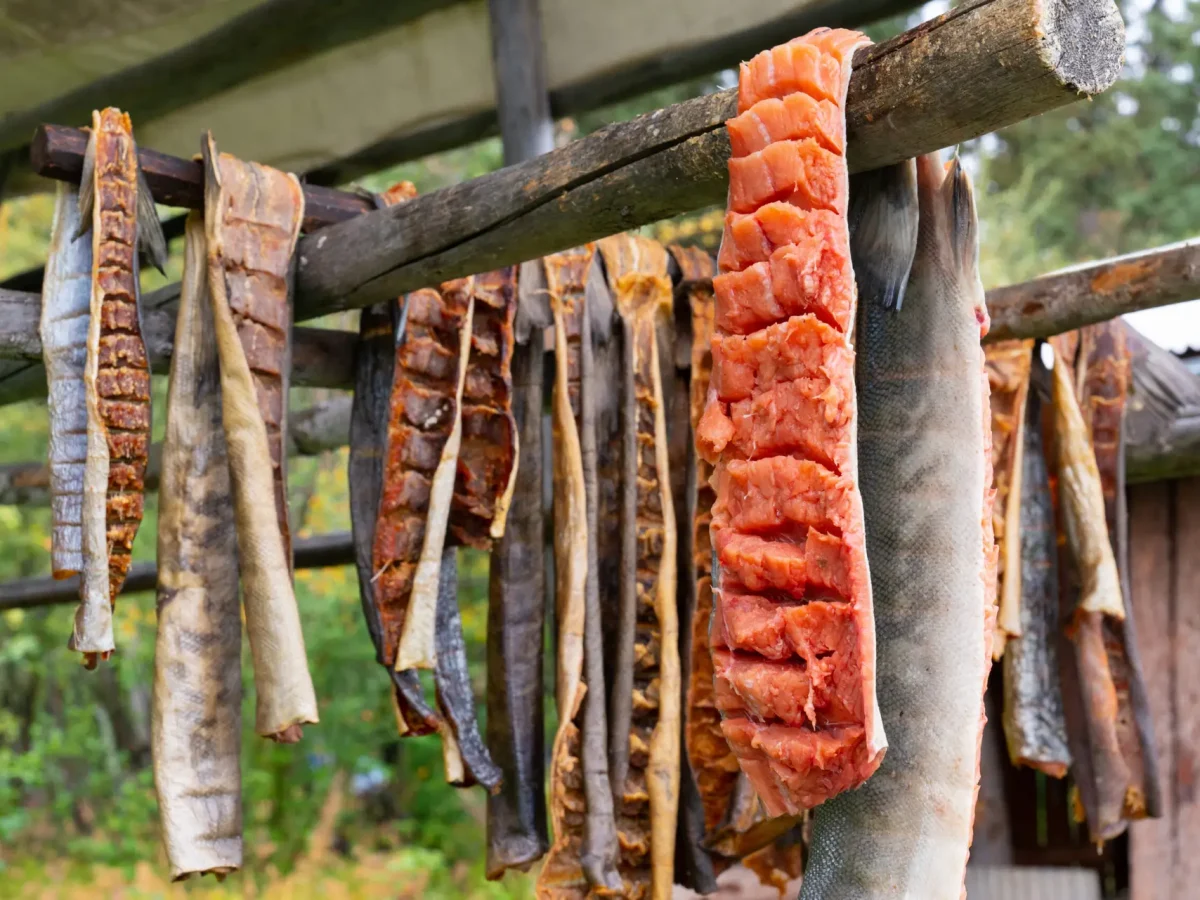 Salmon filets drying in a smoke house in Clayoquot Sound